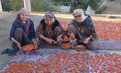 90 yaşındaki üç kadın uzun ömrün sırrını paylaştı