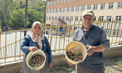 Okul yolunda yürekleri ısıtan ceviz ikramı