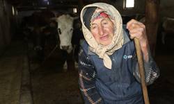 Azmiyle herkese örnek olan Dilber Nine, hayalini kurduğu konteynere kavuştu