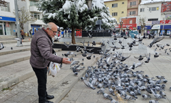 Emekli öğretmenin soğukta kuşlara gösterdiği şefkat, yürekleri ısıttı