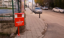 Belediyeden örnek proje! Bayat ekmekler sokak hayvanlarına mama oluyor