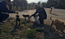 Zabıta ekipleri, kışın soğuğunda yiyecek bulamayan sokak hayvanlarını besledi