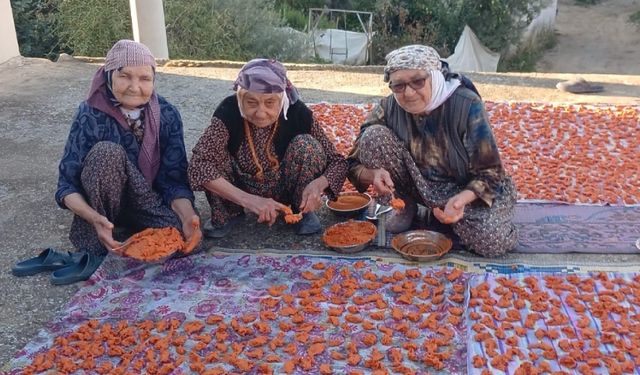 90 yaşındaki üç kadın uzun ömrün sırrını paylaştı