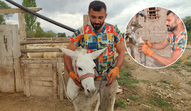 ‘Nalbulans’ ile sahipsiz canlara ücretsiz tırnak bakım hizmeti veriyor