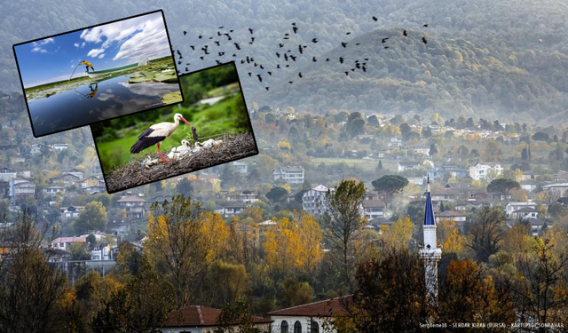 Eğitimi doğa ile buluşturan görsel hikayeler