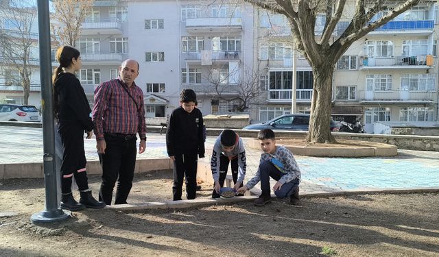 Havaların soğumasıyla sokak sokak gezip, hayvanları besliyorlar