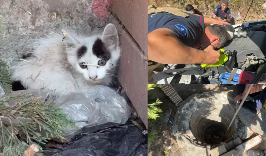 Yaramaz yavru kediler itfaiyecileri peşinden koşturdu