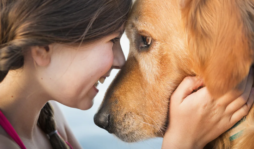 Yeni bir araştırma ortaya koydu: Köpeklerle göz göze geldiğimizde beyinlerimiz senkronize oluyor