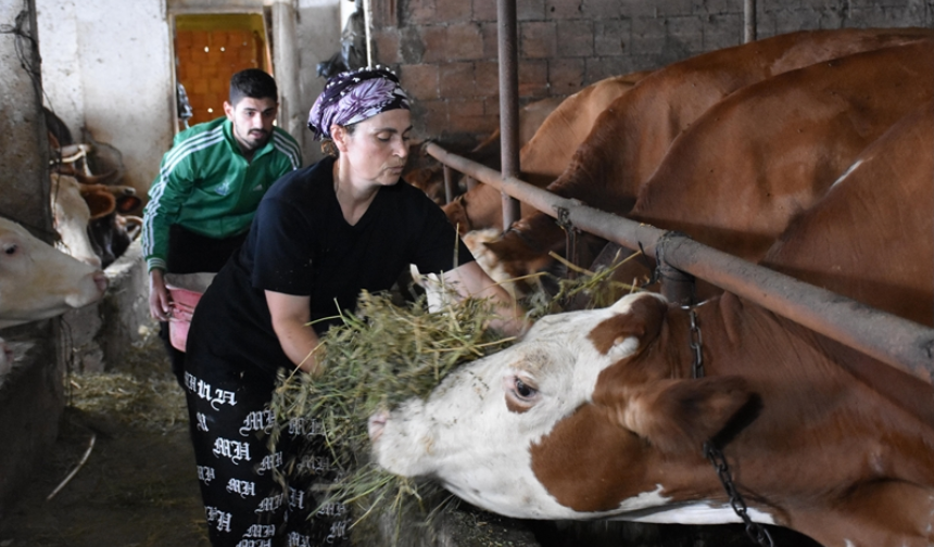 Oğluyla hayvancılığa başladı, ürünlerini Türkiye’nin dört bir yanına gönderiyor