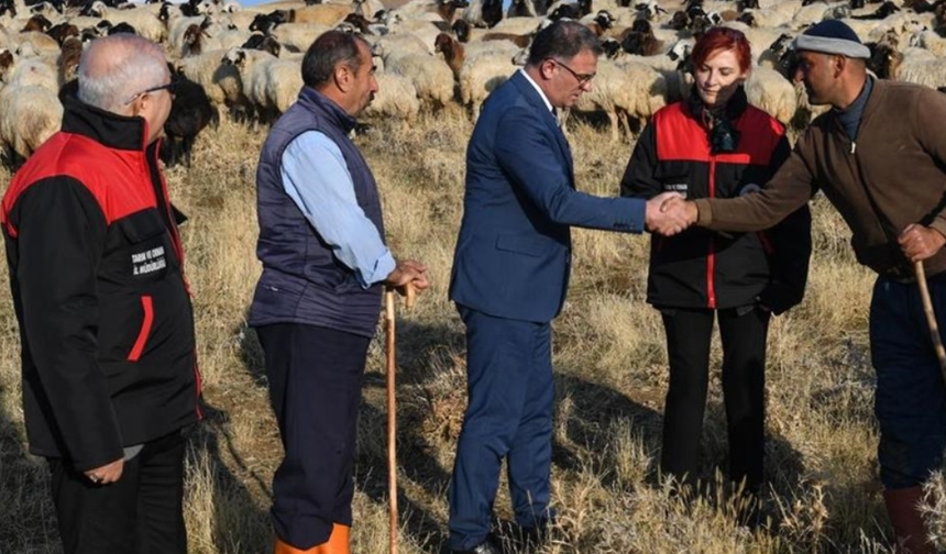 Köylerde tarım ve hayvancılığa büyük destek! 2 bin çiftçiye 200 bin koyun verildi