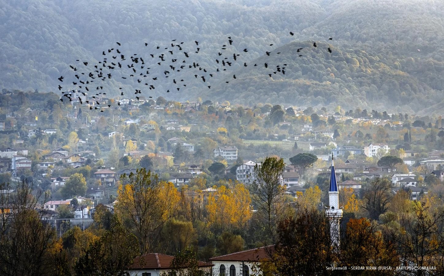 Sergileme18 Serdar Kiran Bursa K