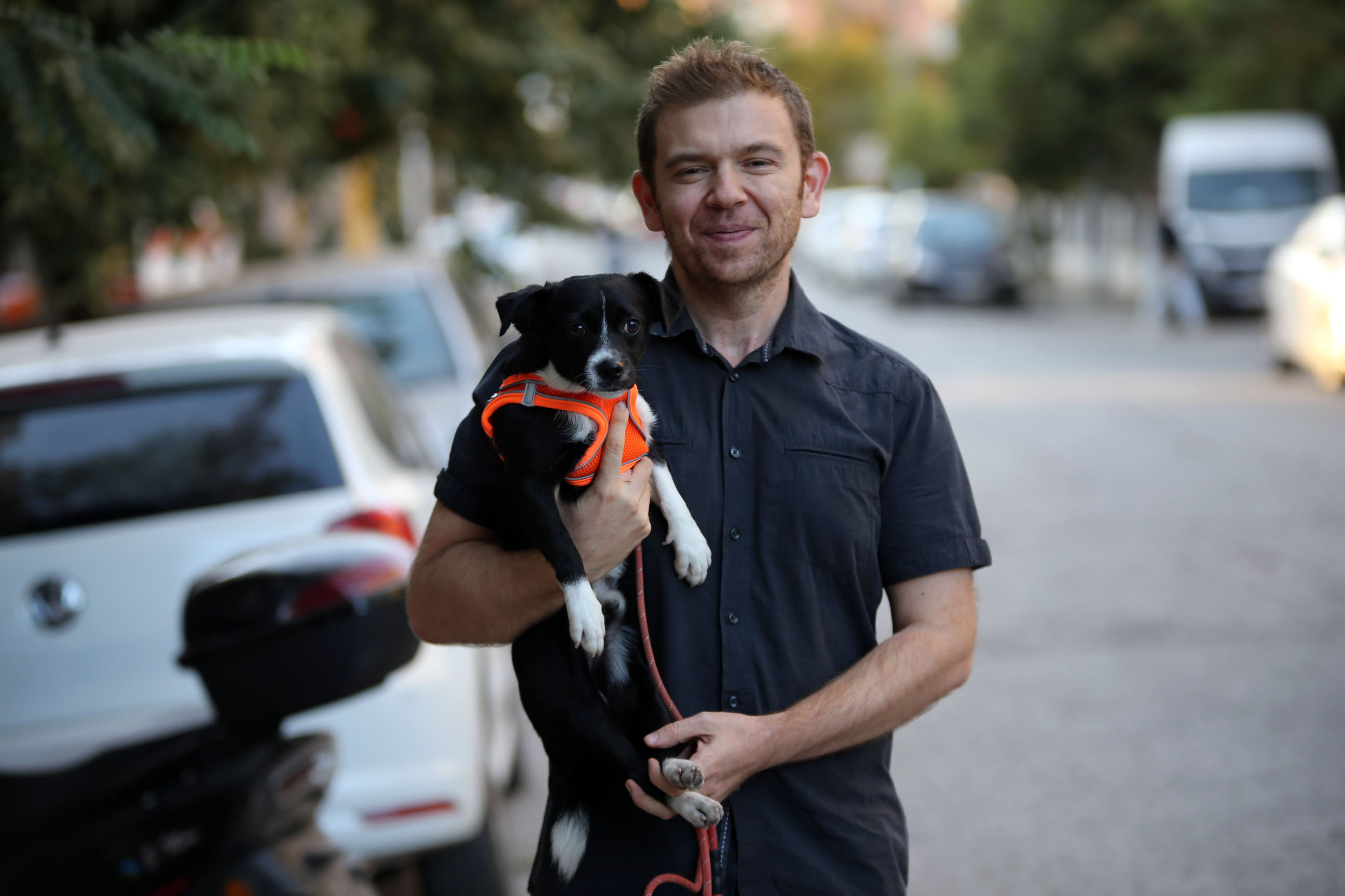 Felçli Köpek, Kök Hücre Nakliyle Yürümeye Başladı (4)