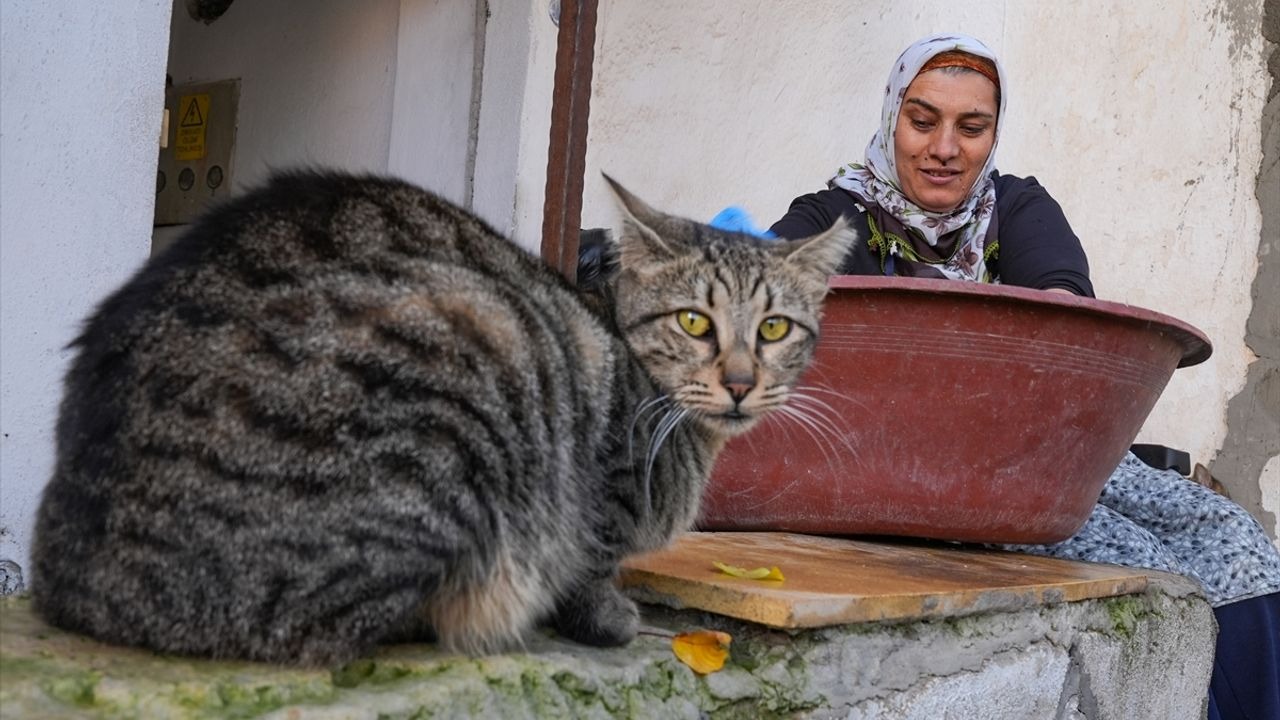 Tekerlekli Sandalyeyle Sokaklari (2)